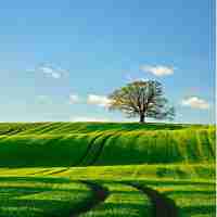 谷​歌‌自﻿研‍手​机‍